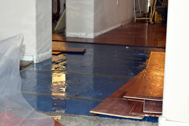 Professional Burst Pipe Cleanup technician working in Richmond, MI