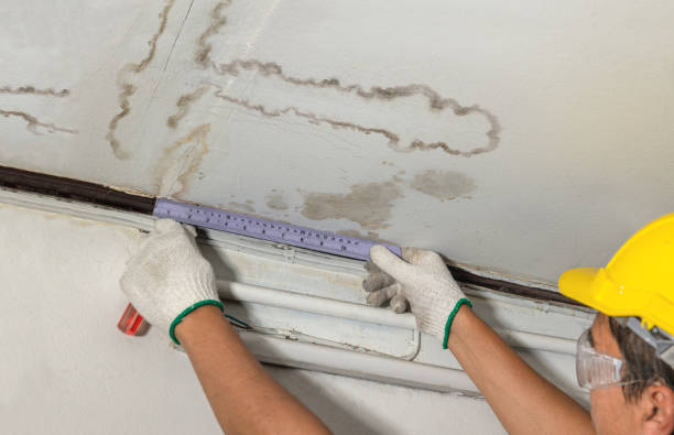 Reliable Burst Pipe Cleanup contractor in Richmond, MI by Local Water Damage Repair